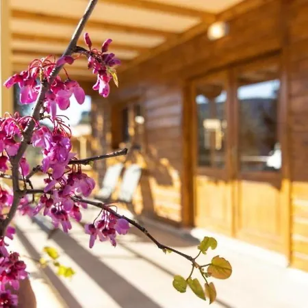 Agrelia Homes Апартаменты