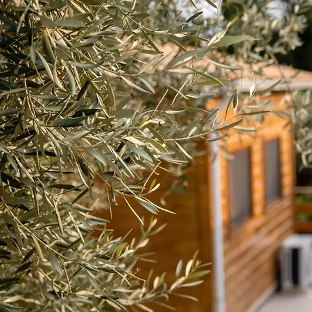 Agrelia Homes * Dragano