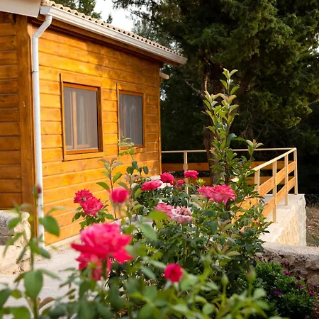 Апартаменты Agrelia Homes Dragano