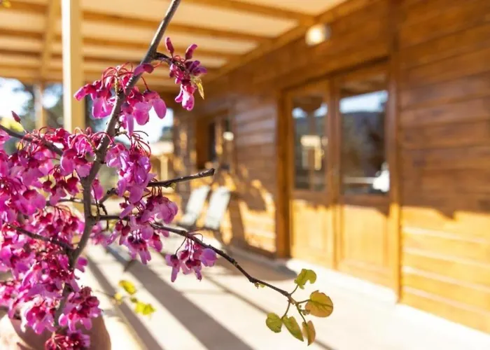 Agrelia Homes Appartement